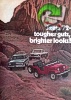Jeep 1971 100.jpg